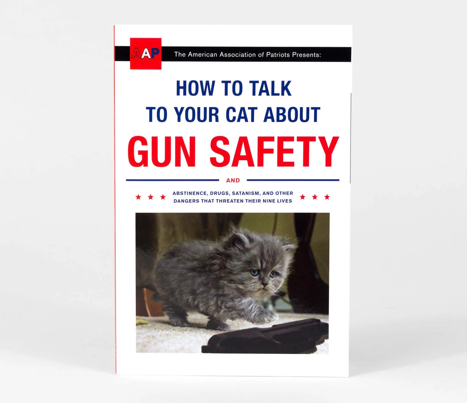 How to Talk to Your Cat About Gun Safety: And Abstinence, Drugs, Satanism, and Other Dangers That Threaten Their Nine Lives Book