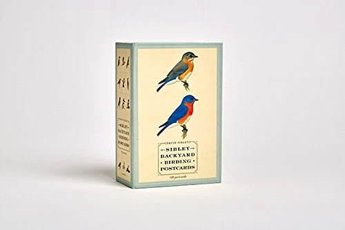 Sibley Backyard Birding Postcards - Image 4