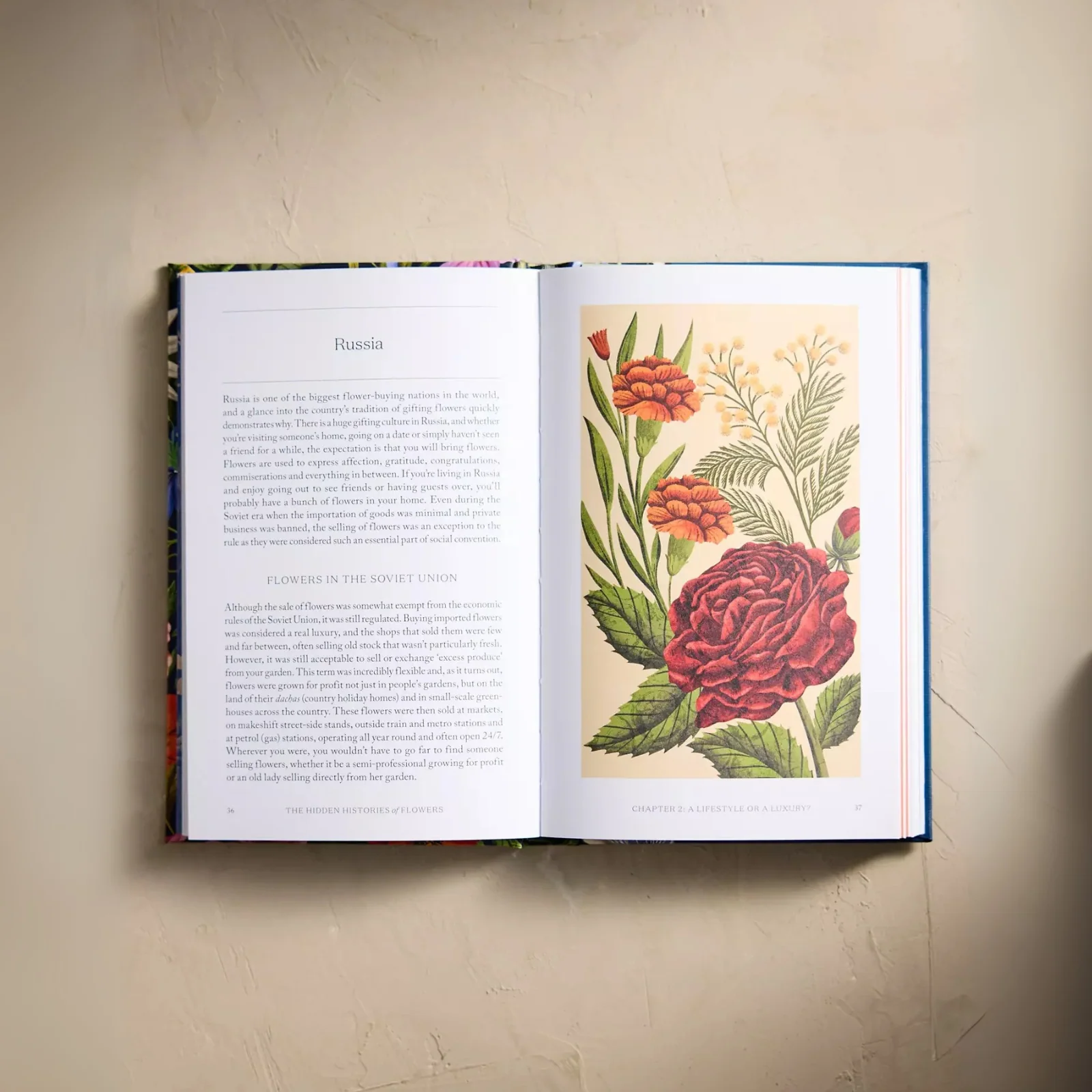The Hidden Histories of Flowers - Image 2
