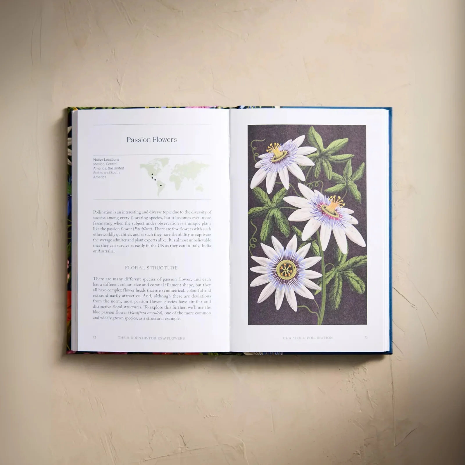 The Hidden Histories of Flowers - Image 3