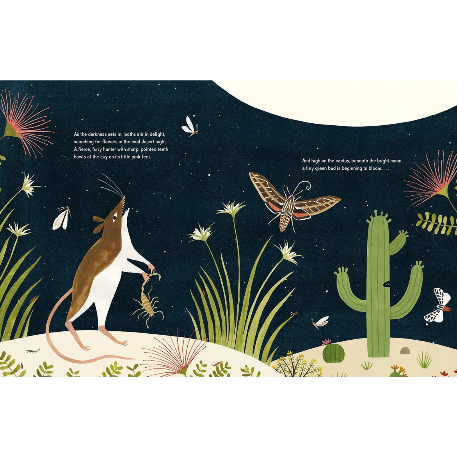 The Night Flower - Image 3